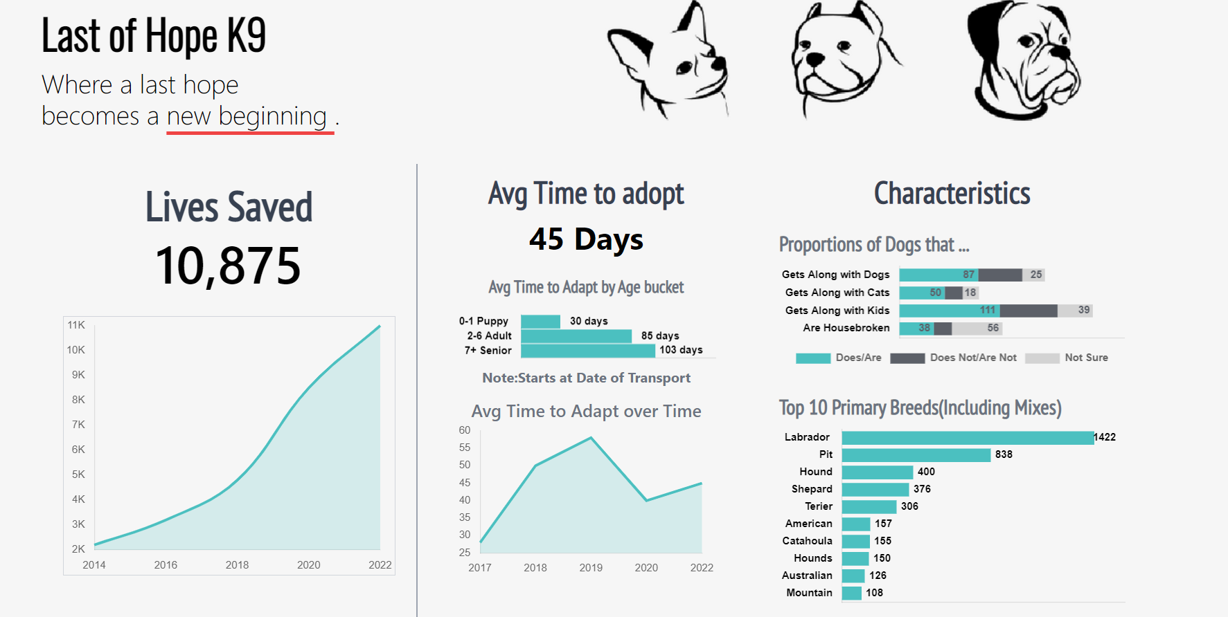 Dogs Data Analysis